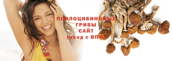 PSILOCYBIN Заволжье