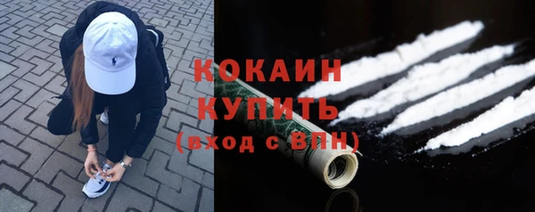 PSILOCYBIN Заводоуковск