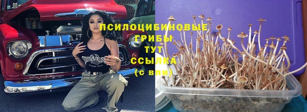 PSILOCYBIN Заводоуковск
