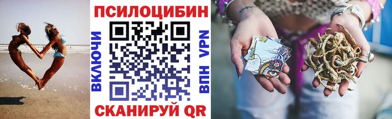 Купить где  Заволжье  Галлюциногенные грибы прущие грибы 